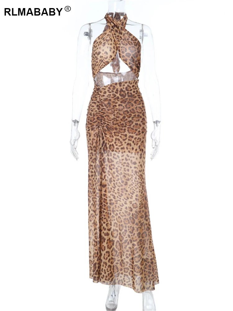 leopard