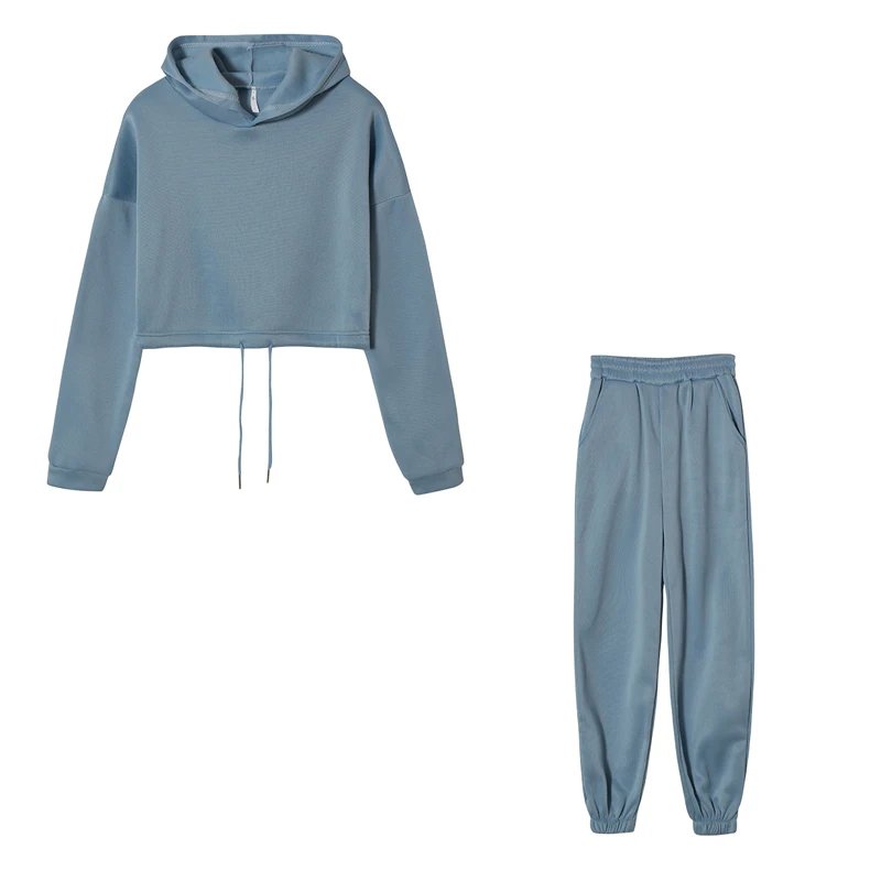 Women Sportswear Two Piece Set Hoodie & Joggers
