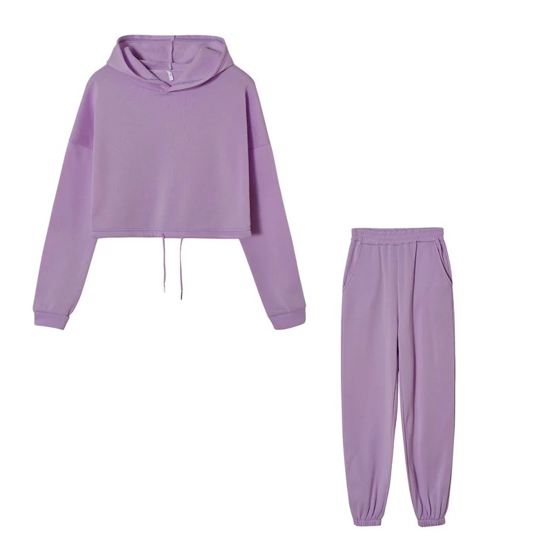 Women Sportswear Two Piece Set Hoodie & Joggers