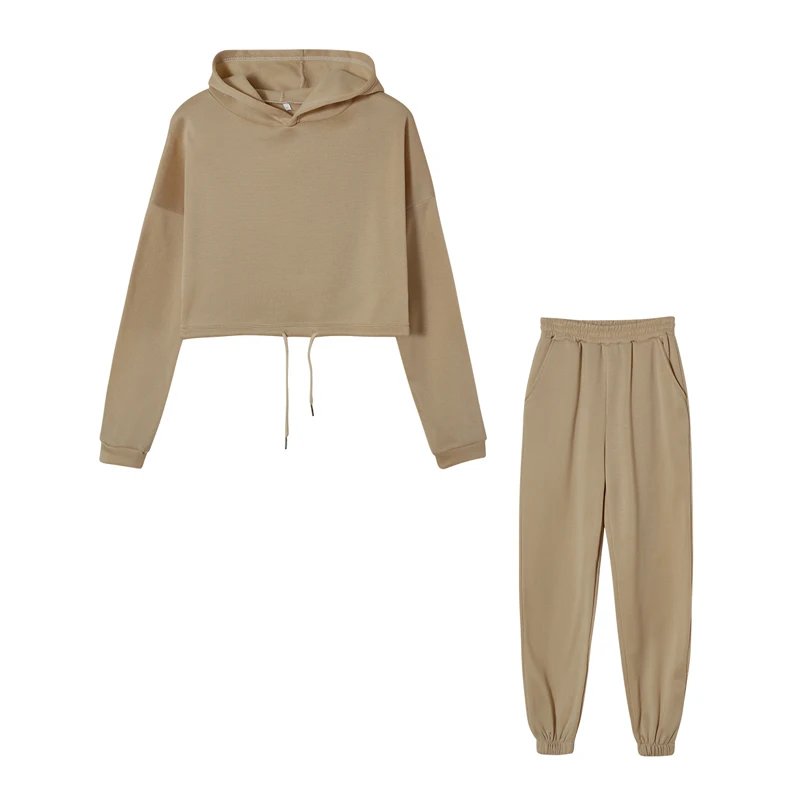 Women Sportswear Two Piece Set Hoodie & Joggers