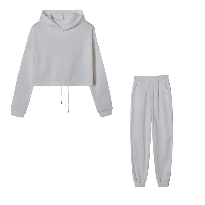 Women Sportswear Two Piece Set Hoodie & Joggers