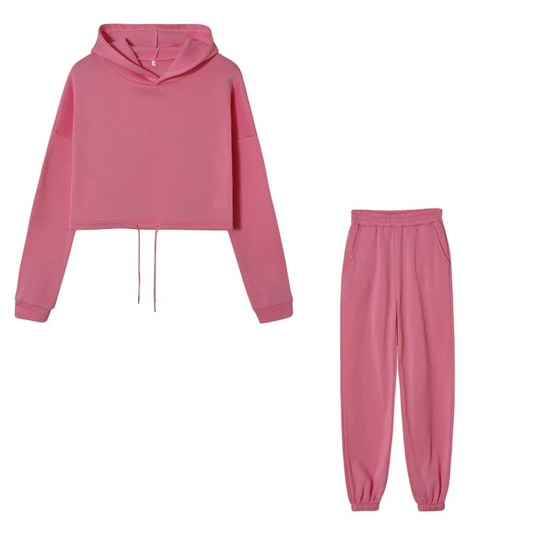 Women Sportswear Two Piece Set Hoodie & Joggers
