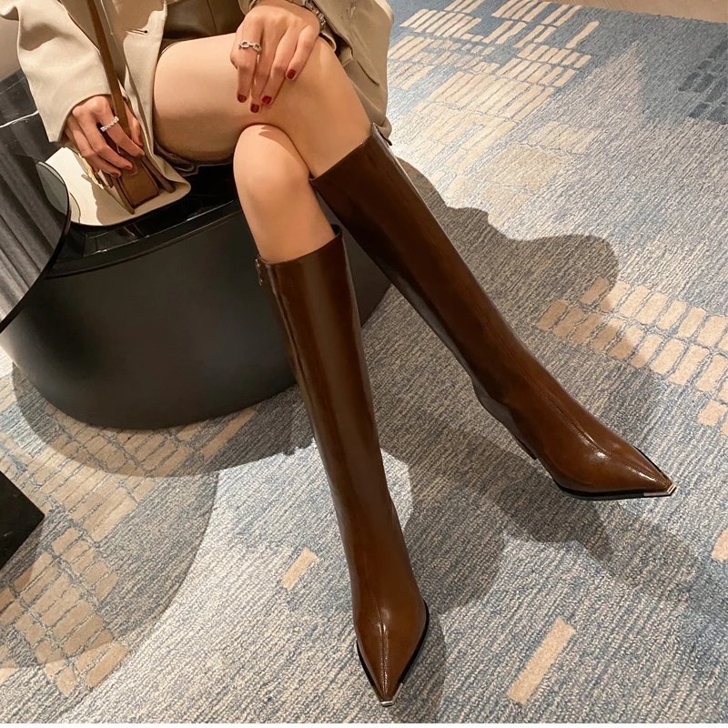 Women Brown Pointed Toe High Heel Boots