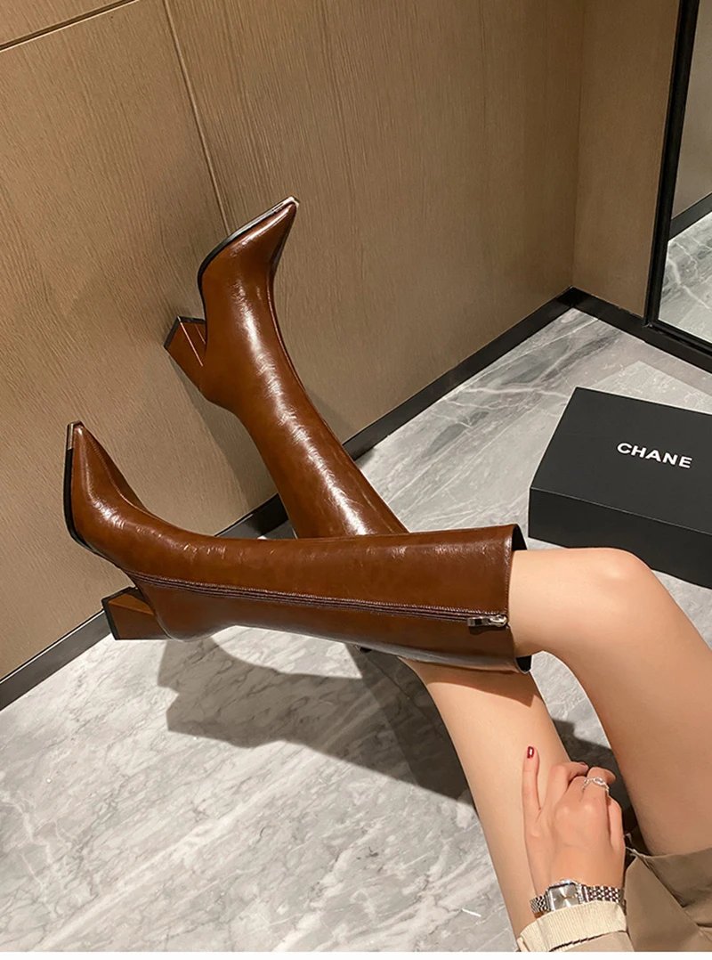 Women Brown Pointed Toe High Heel Boots