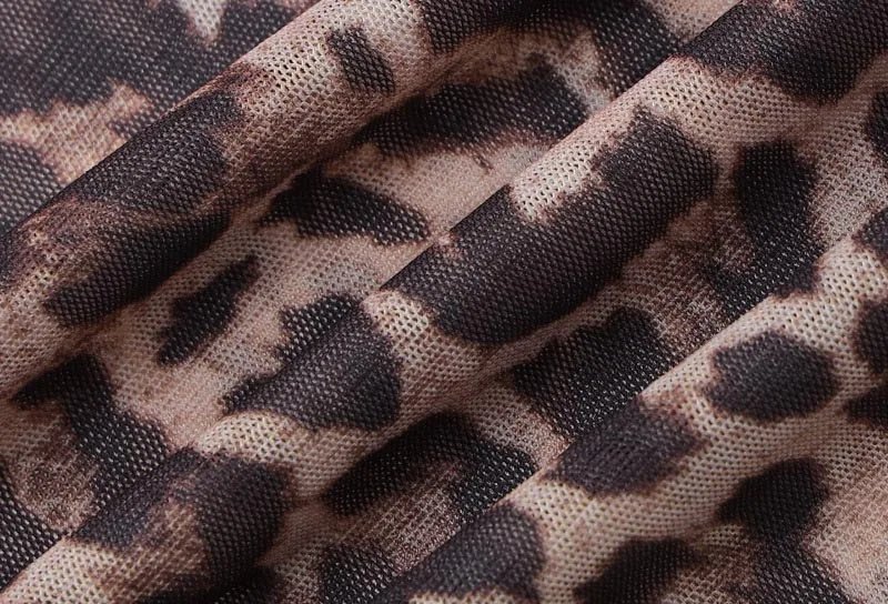Leopard Print Mesh See-Through Slim Maxi Dress